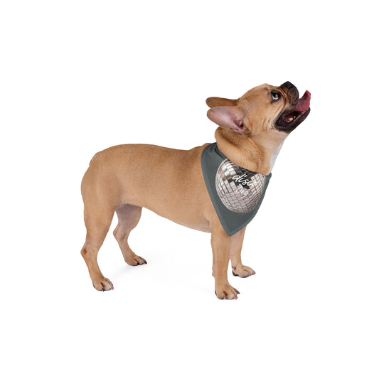 Disco Dog Bandana – Shine on, Party Pup!
